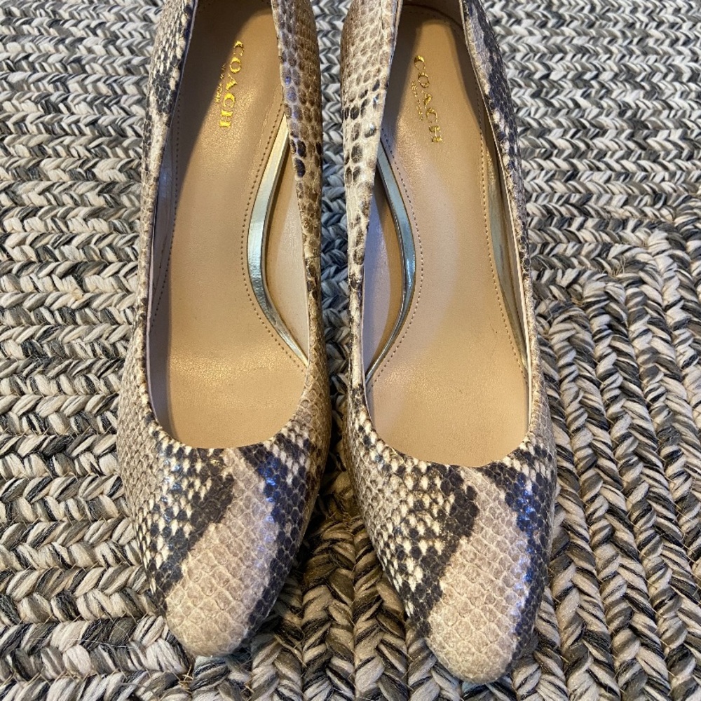 Alligator Heels